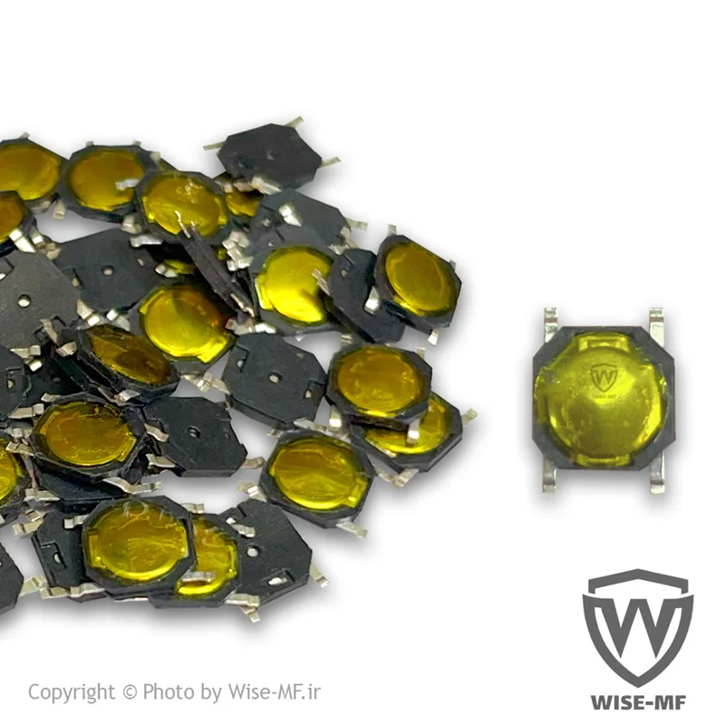 میکرو سوییچ